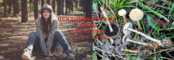 молекула духа Карталы