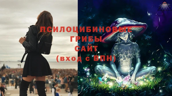 молекула духа Карталы