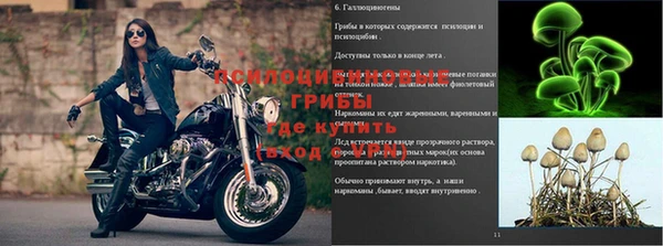 молекула духа Карталы