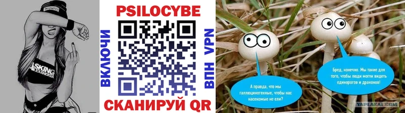 закладка Кемь Галлюциногенные грибы GOLDEN TEACHER
